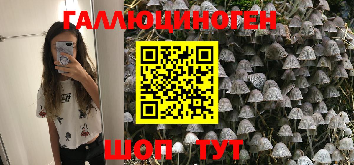 Псилоцибиновые грибы MAGIC MUSHROOMS Георгиевск
