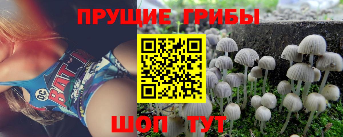 Псилоцибиновые грибы MAGIC MUSHROOMS  Вход с VPN  Галлюциногенные грибы прущие грибы  Георгиевск 